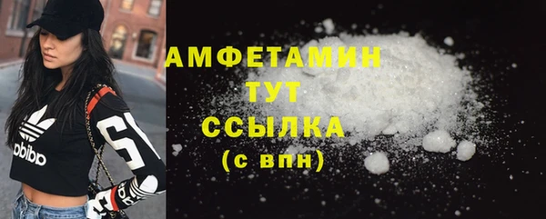 амф Верхний Тагил