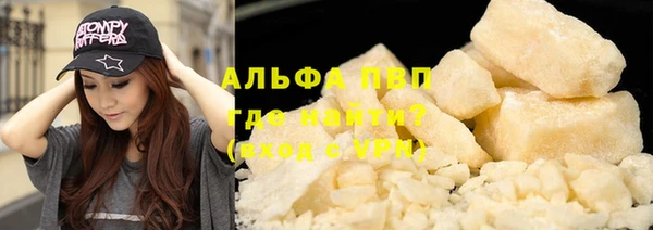 гашик Верея