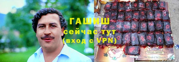 гашик Верея