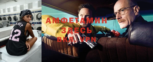 амф Верхний Тагил