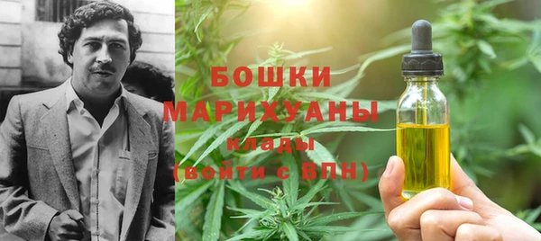 амф Верхний Тагил