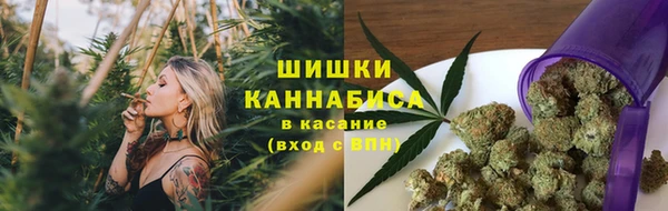 амф Верхний Тагил