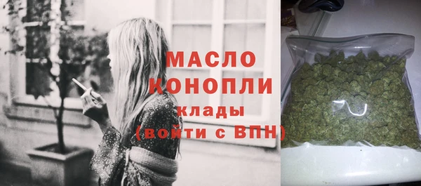 амф Верхний Тагил