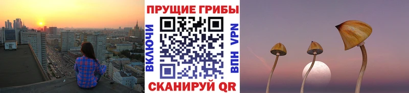 Псилоцибиновые грибы GOLDEN TEACHER Любань